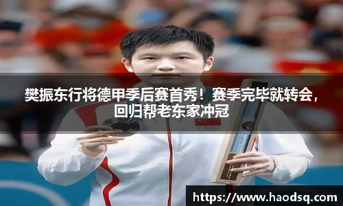 樊振东行将德甲季后赛首秀！赛季完毕就转会，回归帮老东家冲冠